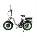 Электровелосипед Elbike Taiga 1 Twix 2000