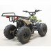 Электроквадроцикл GreenCamel Gobi K51 800W