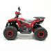 Электроквадроцикл GreenCamel Атакама T610 (72V 1500W R8)