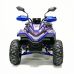 Электроквадроцикл GreenCamel Атакама T630 (72V 1500W R8)