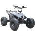 Электроквадроцикл детский Skyboard CyberTruck Karelia 1800W