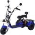 Трехколесный электроскутер Citycoco Trike GT X6