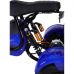 Трехколесный электроскутер Citycoco Trike GT X6