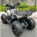 Квадроцикл Motax ATV Grizlik T 200