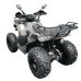 Квадроцикл GRIZLIK T200 LUX