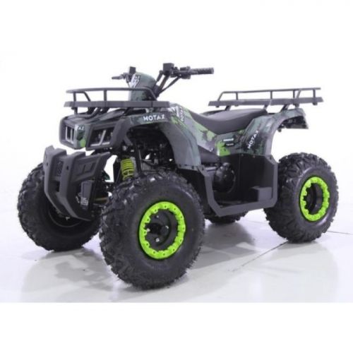 Квадроцикл GRIZLIK T200