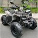 Квадроцикл GRIZLIK T200