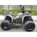 Квадроцикл GRIZLIK T200