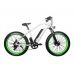 Электрофэтбайк El-sport bike TDE-08 500W
