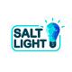 Бактерицидный рециркулятор Salt Light